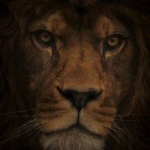 Meet your Posher, Marcos